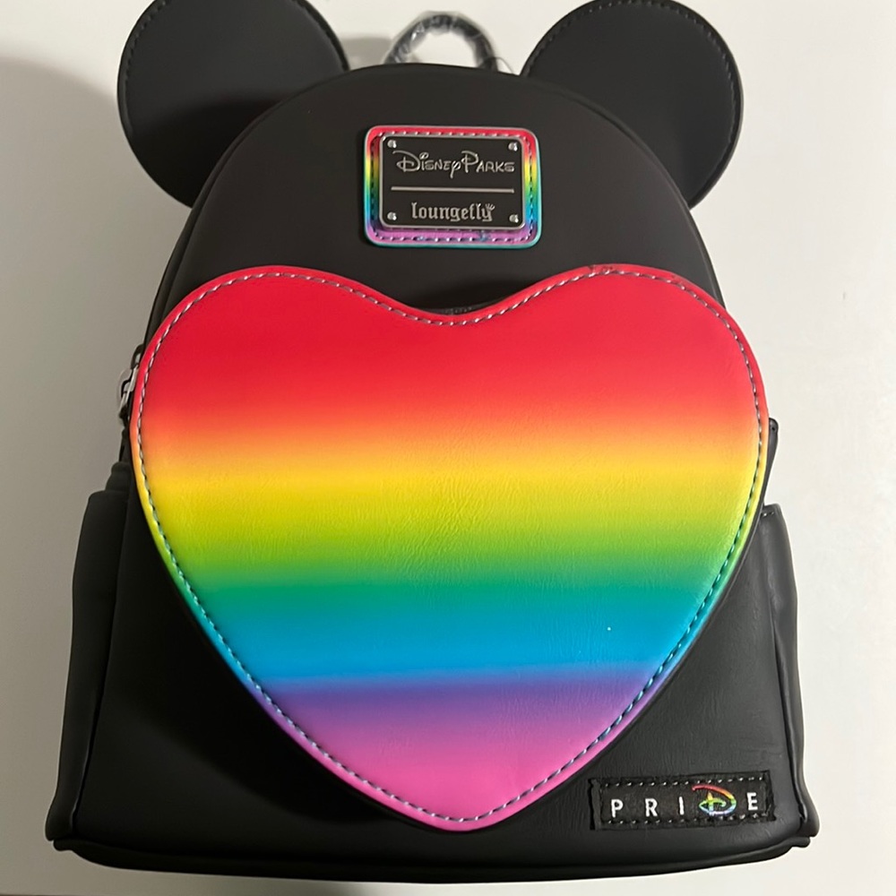 Disney parks lounge fly bag